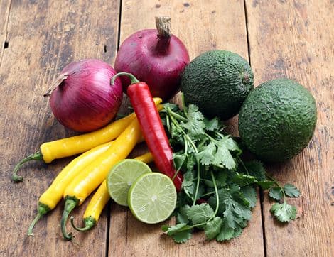Guacamole Bundle
