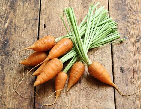 Chantenay Carrots