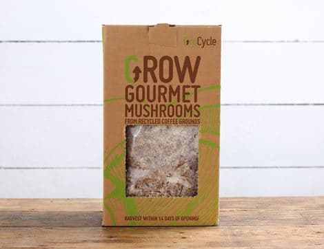 Oyster Mushroom Growing Kit image thumbnail