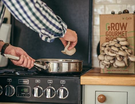 Oyster Mushroom Growing Kit image thumbnail