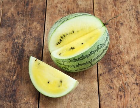 Yellow Watermelon