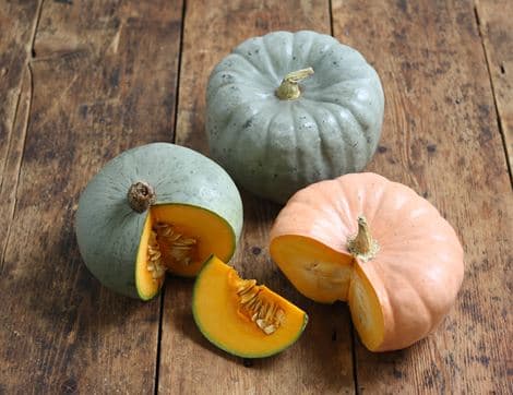 Speciality Cooking Pumpkin
