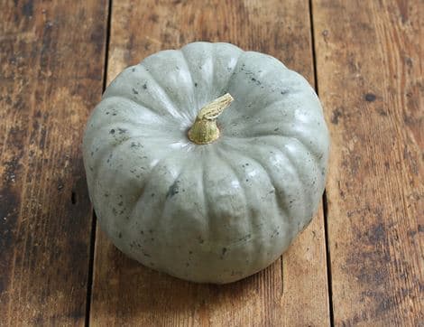 Speciality Cooking Pumpkin image thumbnail