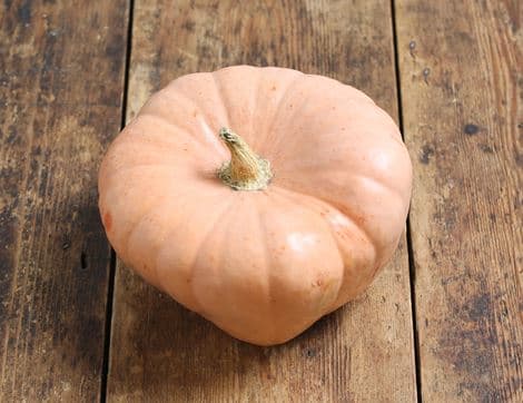 Speciality Cooking Pumpkin image thumbnail