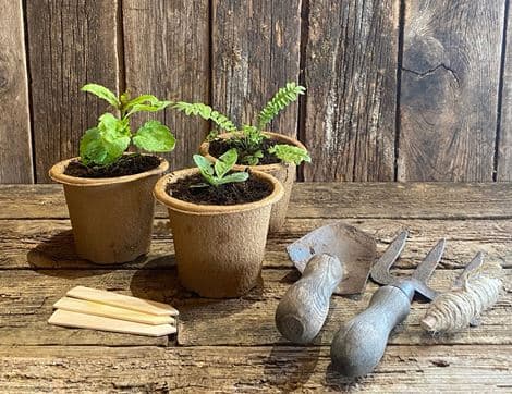 Plant Club, Salad Selection