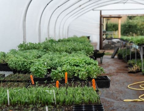 The Organic Blooms Gardening Club image thumbnail