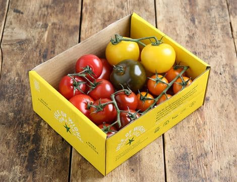 English Mixed Heirloom Tomato Tray
