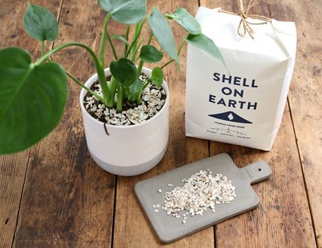 Crushed Whelk Shells image thumbnail