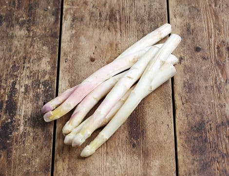 White Asparagus
