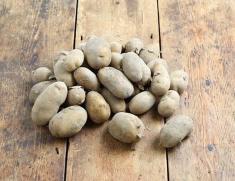 Jersey Royal Potatoes