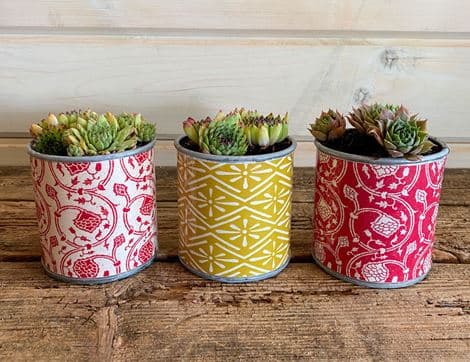 Mixed Succulent Planter