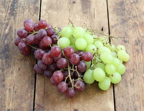 Mixed Grapes, Seedless