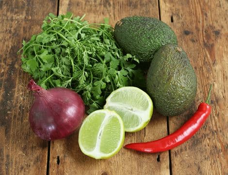 Guacamole Bundle