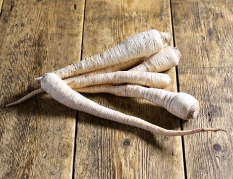 Parsley Root Bunch