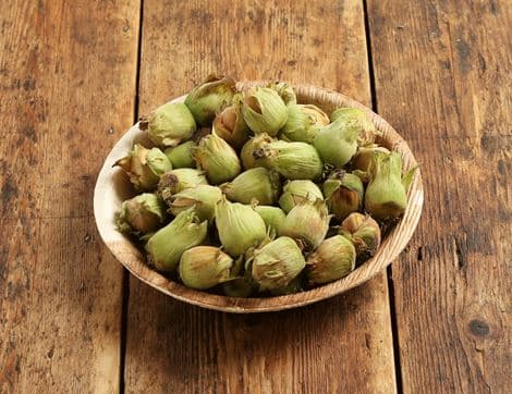 English Cobnuts