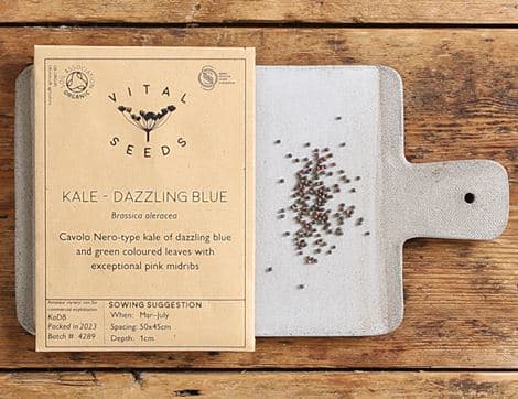 Kale Seeds, Dazzling Blue