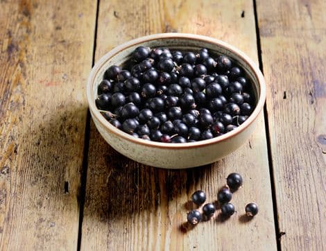 British Blackcurrants