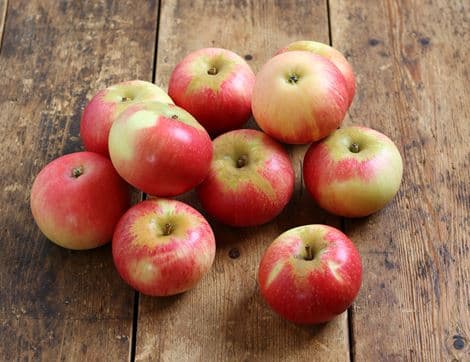 Apples
