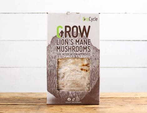 Lion's Mane Mushroom Growing Kit image thumbnail