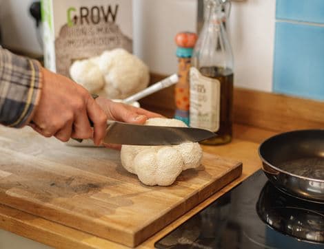 Lion's Mane Mushroom Growing Kit image thumbnail
