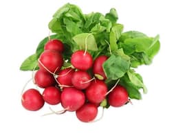 image of Bunched Radish