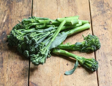 Baby Broccoli