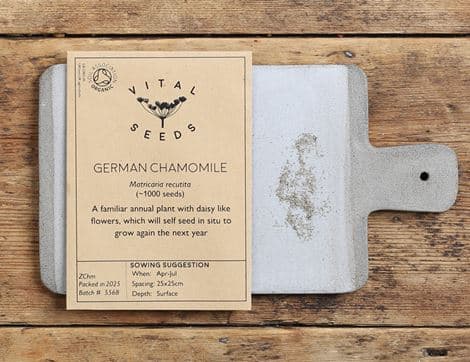 Chamomile Seeds