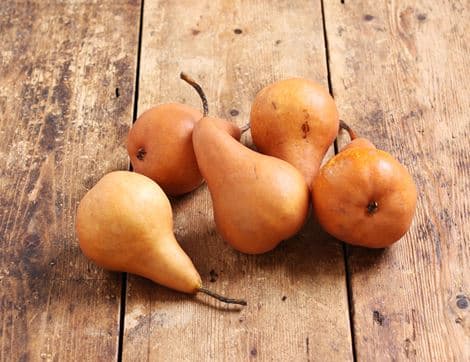 Pears