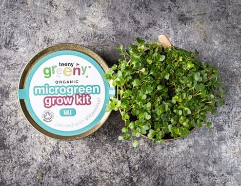 Microgreen Grow Kit, Kale image thumbnail