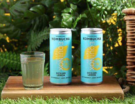 Sicilian Lemon Kombucha image thumbnail