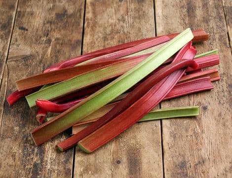 Rhubarb