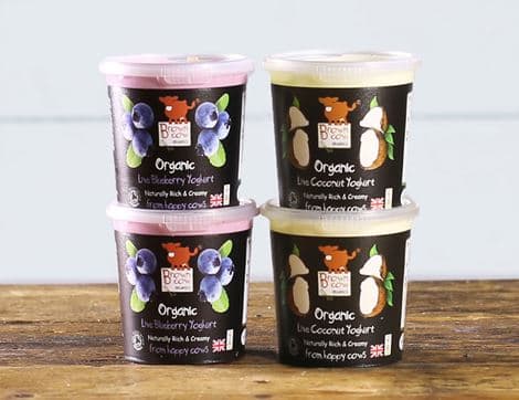 Blueberry & Coconut Yogurt Mixed Pack