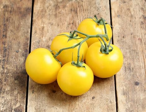 English Yellow Vine Tomatoes