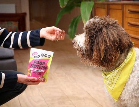 Prebiotic Gut-Health Treats for Dogs, B Corp, Non-Organic image thumbnail