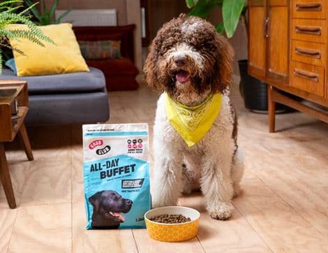 Nutritionally Complete Dry Dog Food, B Corp, Non-Organic image thumbnail