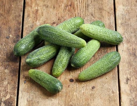 Fresh Cornichons