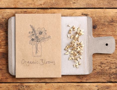 Scabious atropururea Flower Seeds