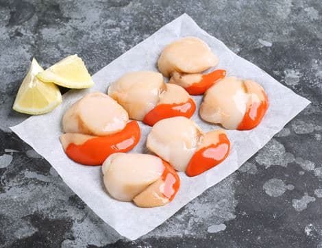 Limited Edition Hand-Dived Wild Scallops