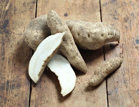 White Sweet Potatoes
