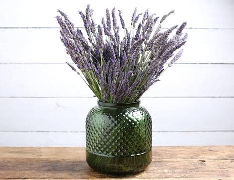 Fresh English Lavender Bunch, Organic