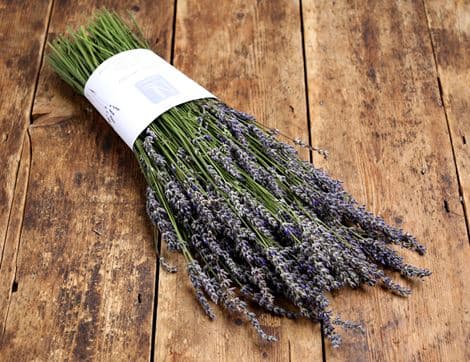 Fresh English Lavender Bunch, Organic image thumbnail