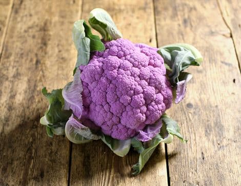 Small English Purple Cauliflower
