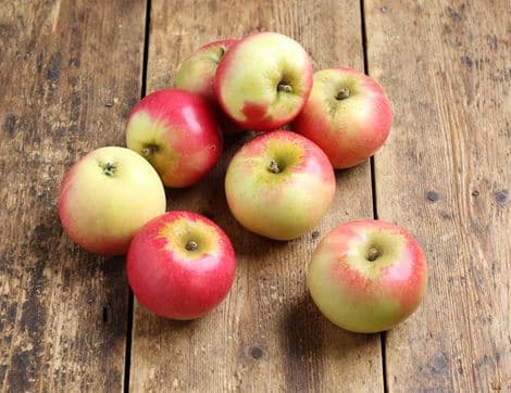 Discovery Apples