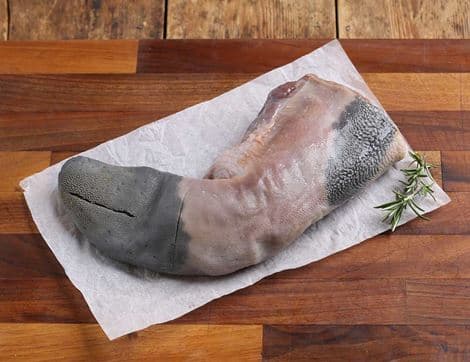 Salt Ox Tongue, Wild-Regenerative