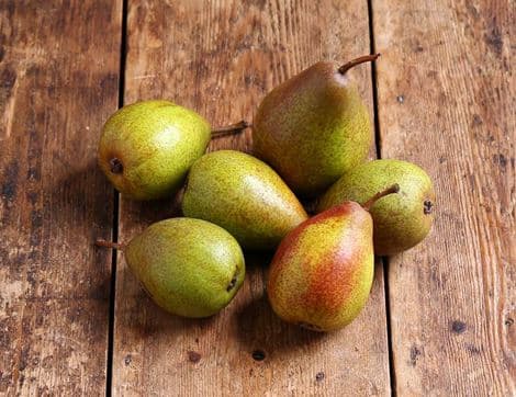 English Louise Bonne Pears