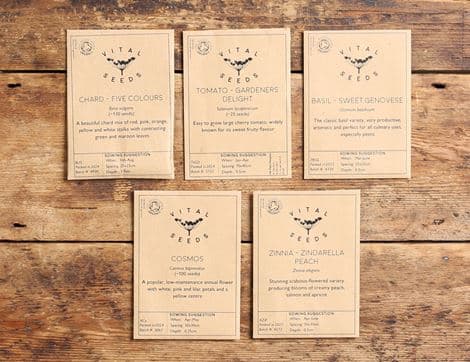 The Organic Rainbow Garden Seed Collection