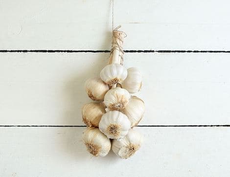 Garlic String