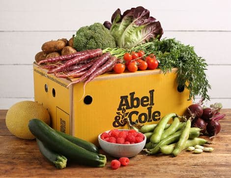 The Best of Organic July Box