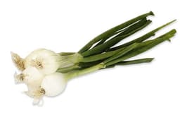 image of Spring Onions