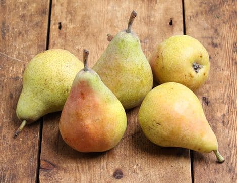 Guyot Pears
